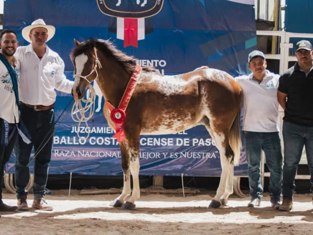 AT Espavel, Reserva Campeón con su banda en la Expo Liberia Internacional 2026
