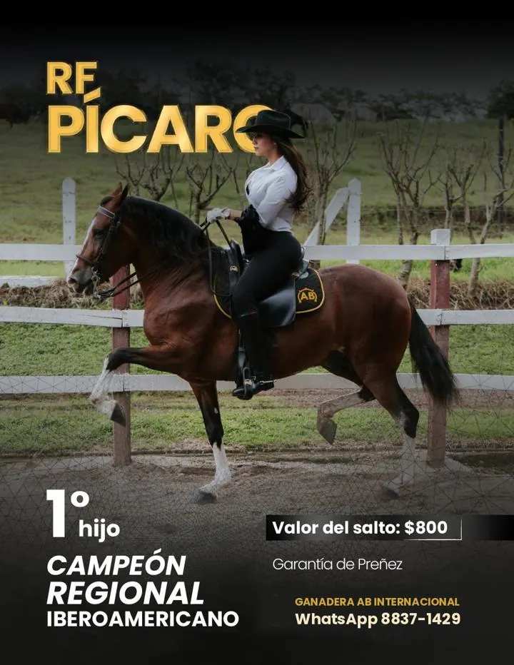 Ficha del semental RF Pícaro